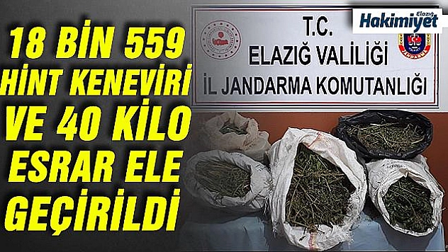 2 bin rakımda uyuşturucu tarlasına operasyon