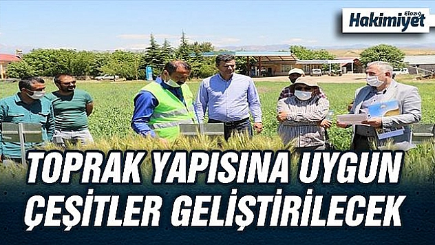 EKİM ALANLARININ KONTROLÜ YAPILDI