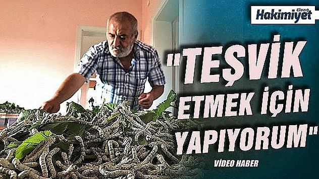 Elazığ'da muhtar, teşvik için İpek böcekçiliği yapmaya başladı