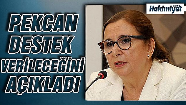 Ticaret Bakanı Pekcan'dan 'İhtisas Serbest Bölgesi' açıklaması!