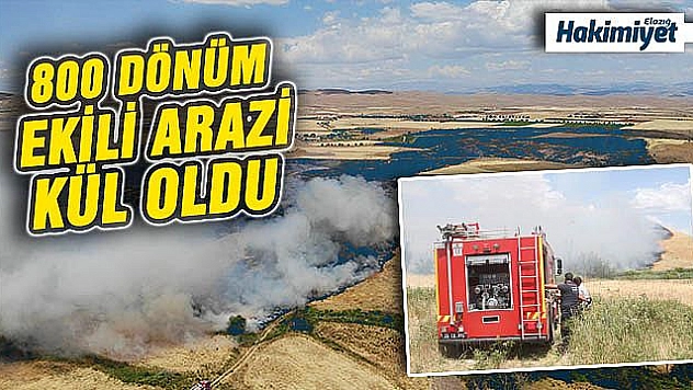 Yangın saatler sonra kontrol altına alındı