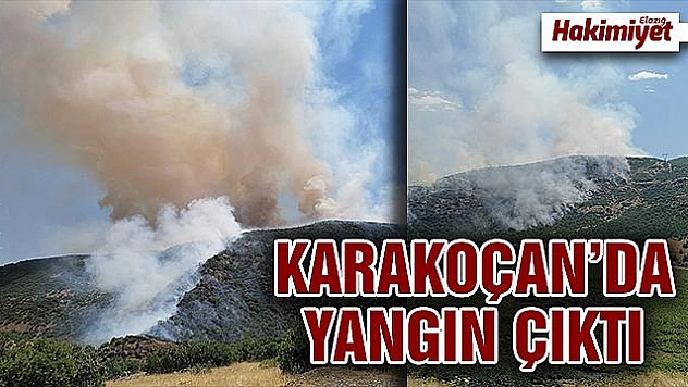 Elazığ'da orman yangını