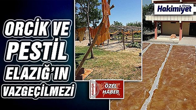 ELAZIĞ'DA PESTİL YAPIMI BAŞLADI