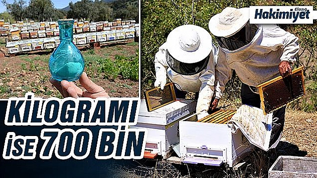 ELAZIĞ'DAN TOPLADIĞI ARI ZEHRİ'NİN FİYATI DUDAK UÇUKLATIYOR