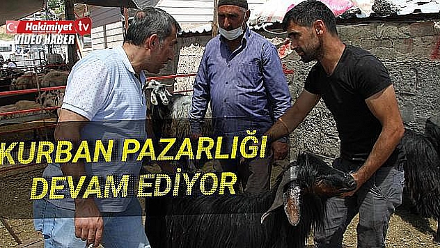 Kurban Pazarında 3'üncü gün yoğunluğu