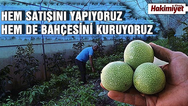 AKKOYUN:'ELAZIĞ'DA DA BAHÇE KURULUMU YAPTIM'