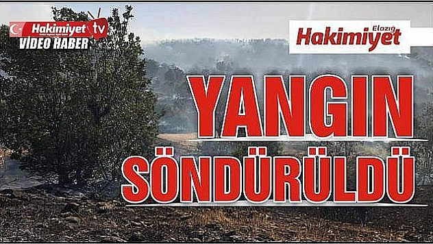 ARICAK'TAKİ ORMAN YANGINI SÖNDÜRÜLDÜ