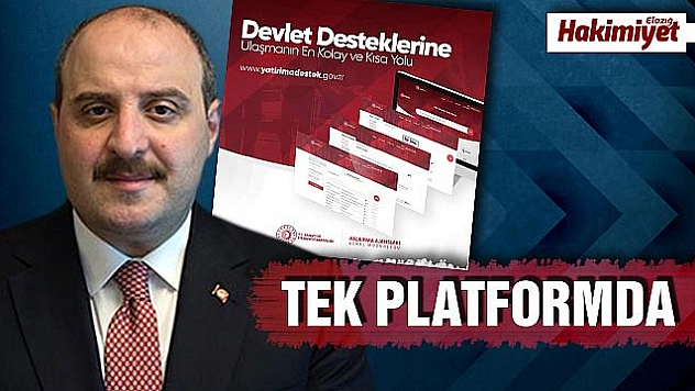 Bakan Varank: 'Destek bilgilerini tek çatı altında topladık'