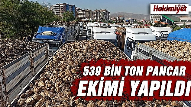  BU YIL 60 BİN TON ŞEKER ÜRETİLECEK