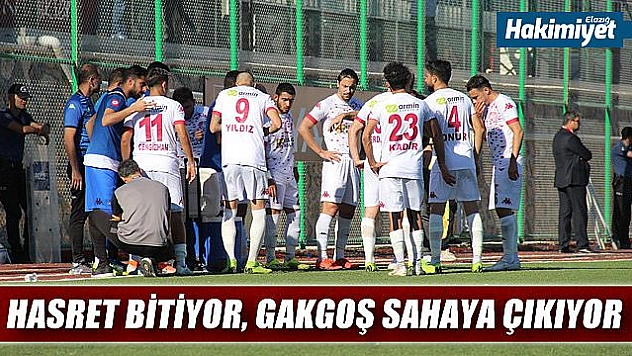 Elazığspor, 245 gün sonra maça çıkacak