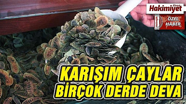Havalar Soğurken, Bağışıklık Sisteminizi Bitki Çayı İle Koruyun!