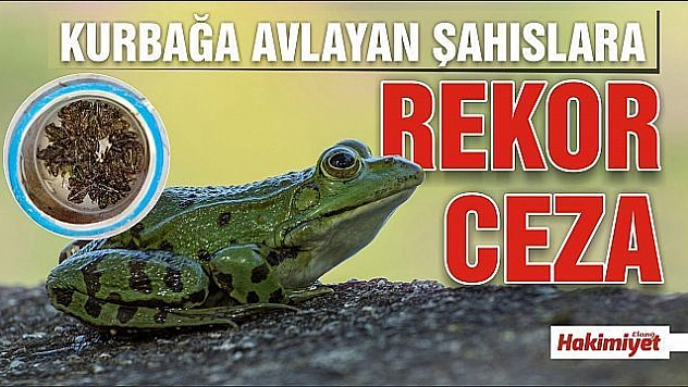 Kurbağa avlayan 5 şahsa 9 bin 700 TL ceza kesildi