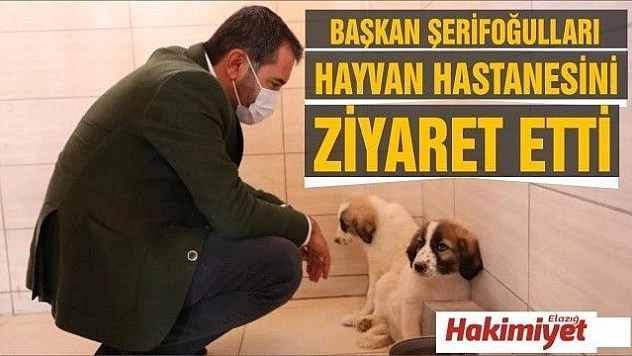 BAŞKAN ŞERİFOĞULLARI, HAYVAN HASTANESİ VE BAKIM EVİ'Nİ ZİYARET ETTİ