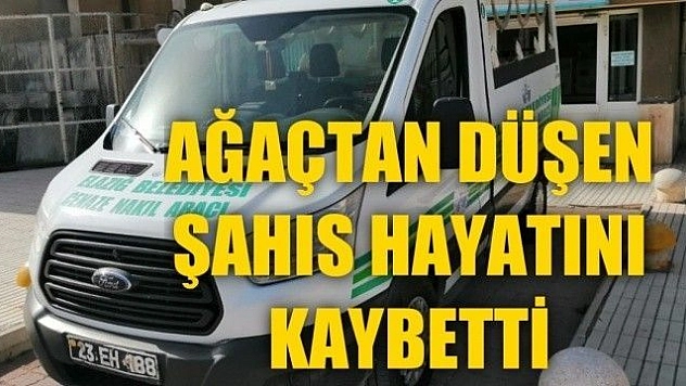 Elazığ'da ceviz ağacından düşen şahıs hayatını kaybetti