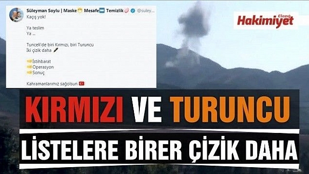 Etkisiz hale getirilen teröristlerden birinin 'Kırmızı', birinin ise  'Turuncu' kategoride olduğu tespit edildi