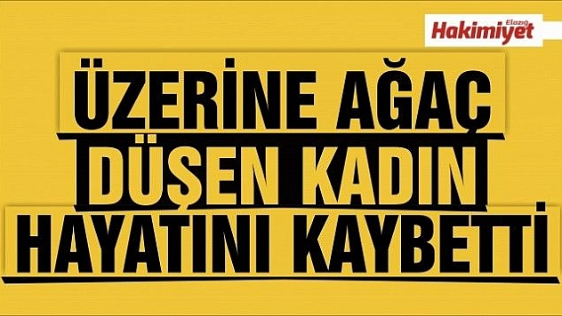 Kesilen ağacın üzerine devrildiği yaşlı kadın öldü