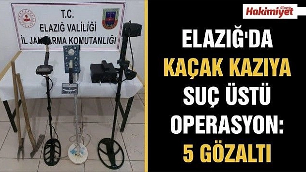 Elazığ'da kaçak kazıya suç üstü operasyon:5 gözaltı