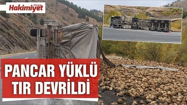 Elazığ'da pancar yüklü tır devrildi