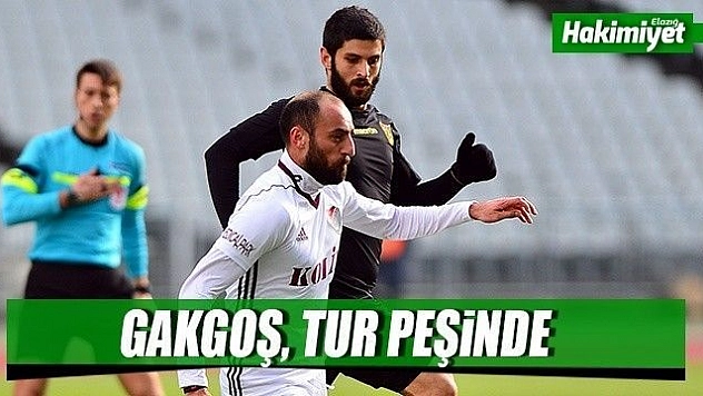 Gakgoş, İstanbul'da tur arayacak