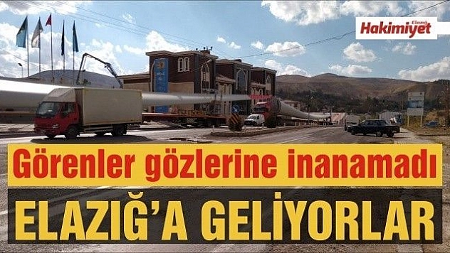 Görenler gözlerine inanamadı