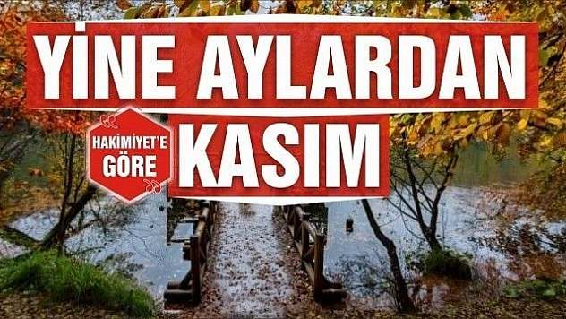 YİNE AYLARDAN KASIM…