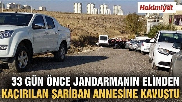  33 gün önce jandarmanın elinden kaçırılan Şariban annesine kavuştu