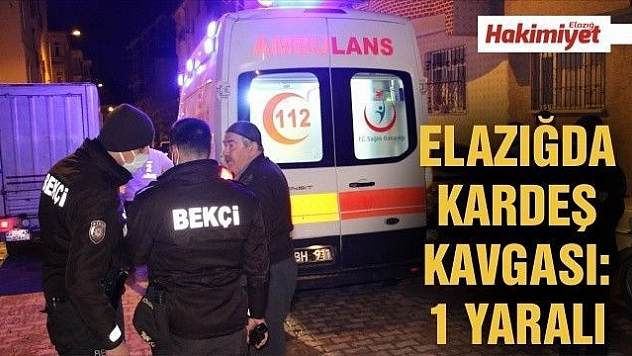 Ağabey kardeşini sokak ortasında silahla vurdu