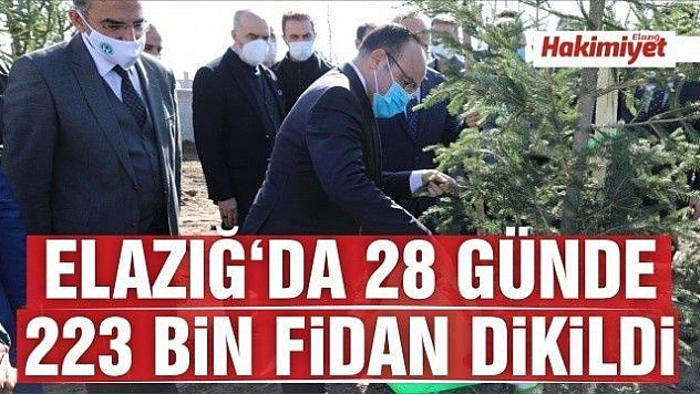 Elazığ'da 28 günde 223 bin fidan dikildi