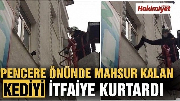 Pencere önünde mahsur kalan kediyi itfaiye kurtardı