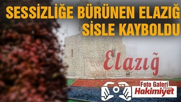 Sessizliğe bürünen Elazığ, sisle kayboldu