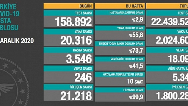 Son 24 saatte korona virüsten 246 kişi hayatını kaybetti