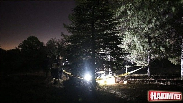 Elazığ'da ormanlık alanda erkek cesedi bulundu