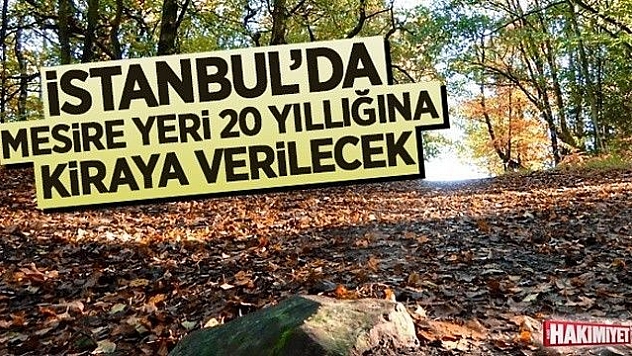 İstanbul'da mesire yeri 20 yıllığına kiraya verilecek