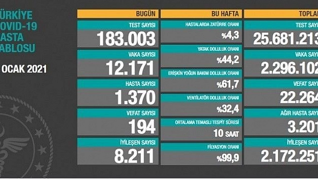 Türkiye'de son 24 saatte 12.171 koronavirüs vakası tespit edildi