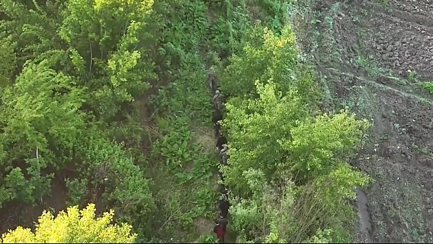 30 bin kök kenevir imha edildi