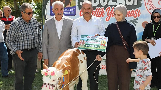 6. Elazığ Tarım, Hayvancılık ve Gıda Fuarı'nda Buzağı Güzellik yarışması