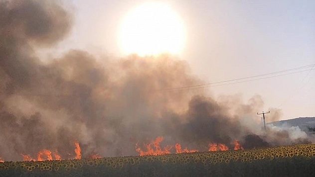 60 Dönüm Alan Küle Döndü!