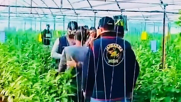 7 yıldır aranan cinayet zanlısı sera bahçesinde yakalandı