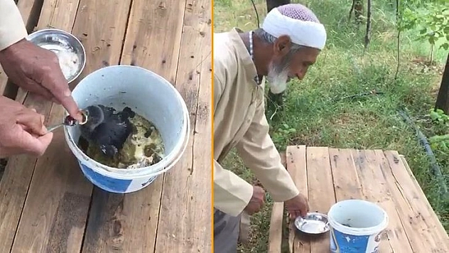 76 Yaşındaki Akif Amca, Yavru Kargayı Bebek Gibi Besliyor