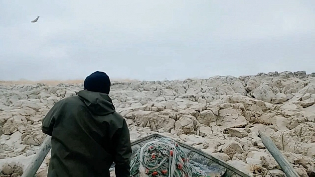 8 yıldır küçük bir adanın tek tilkisini besliyor