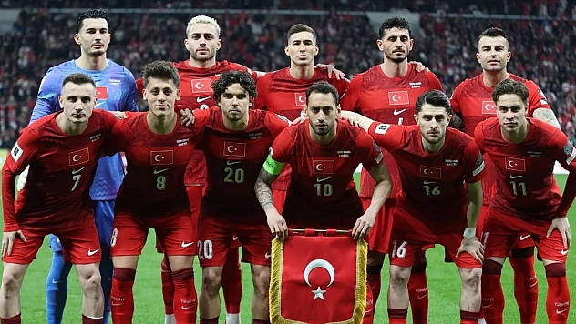 A Milli Takım'ın yeni teknik direktörü belli oldu