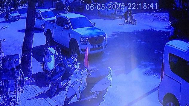 Adıyaman'da evden kaçan köpek sokakta yürüyen kızlara saldırdı