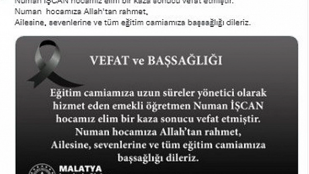 Ağaçtan düşen emekli müdür hayatını kaybetti