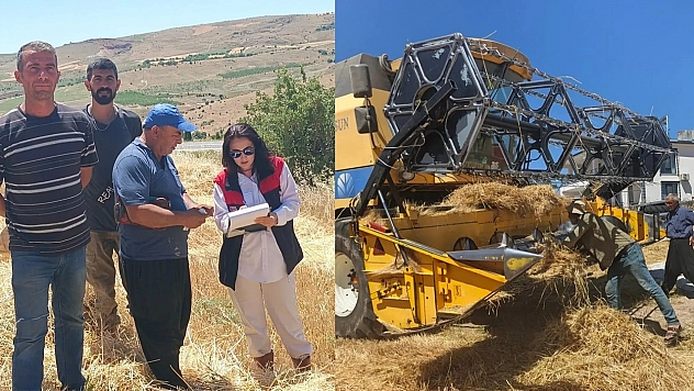 Ağın'da hasat öncesi biçerdöver denetimi