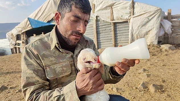 Ağzı kulağına kadar açık kuzu doğdu, biberonla beslenmeye başladı