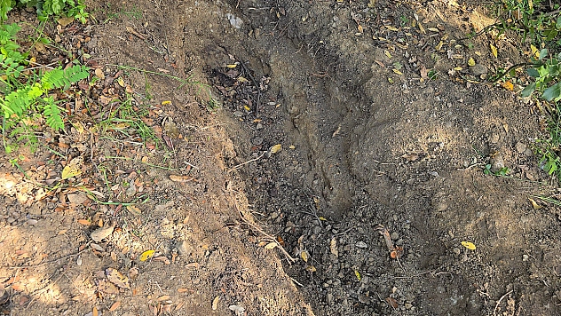 Ailesinin kayıp ihbarı cinayeti ortaya çıkardı