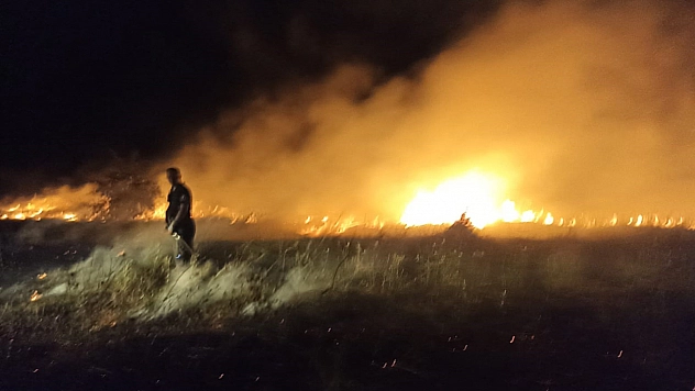 Malatya'da bahçe ve sazlık yangını: 25 Kayısı ağacı zarar gördü