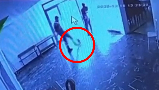 Alacakaya'da kediyi tekmeleyen personel sosyal medyanın tepkisini çekti