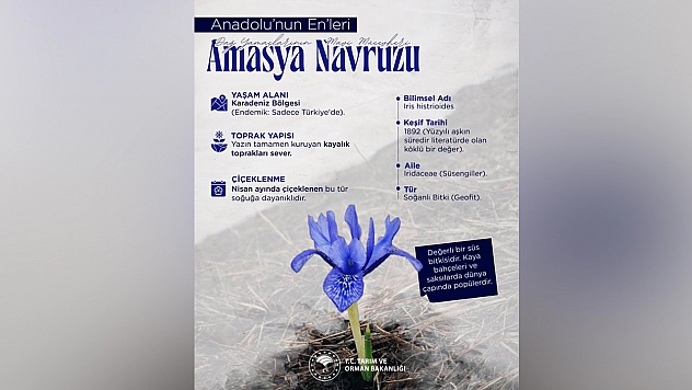 Anadolu'nun 'Mavi Mücevheri' koruma altında