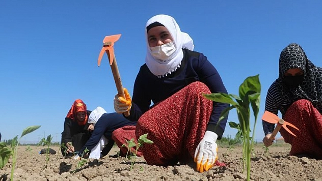Ata tohumları ve sebze fidanları toprakla buluştu